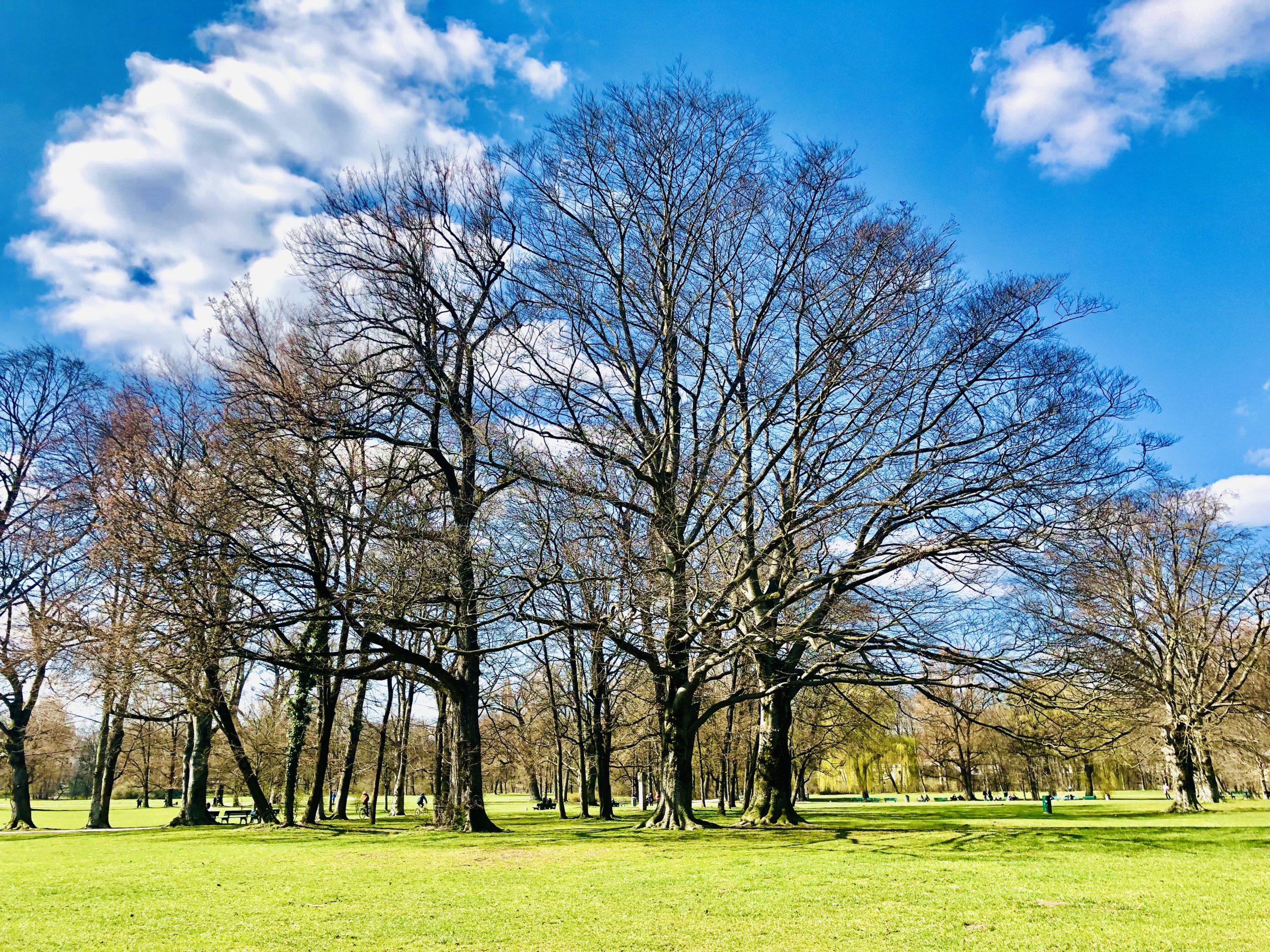 Privacy Policy | 綠果 GREENCONUT | IMG 1531 scaled