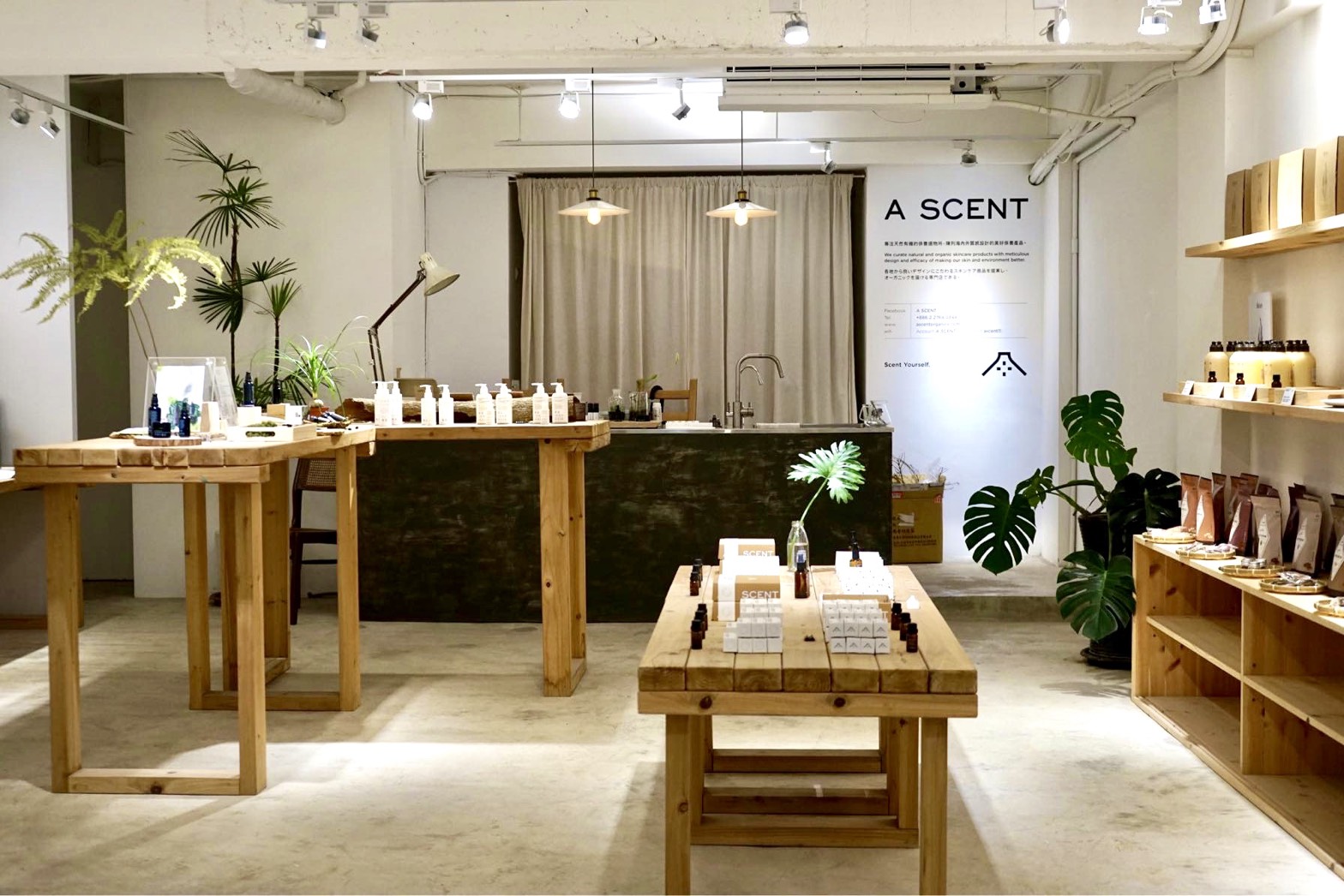 A SCENT 綠果通路