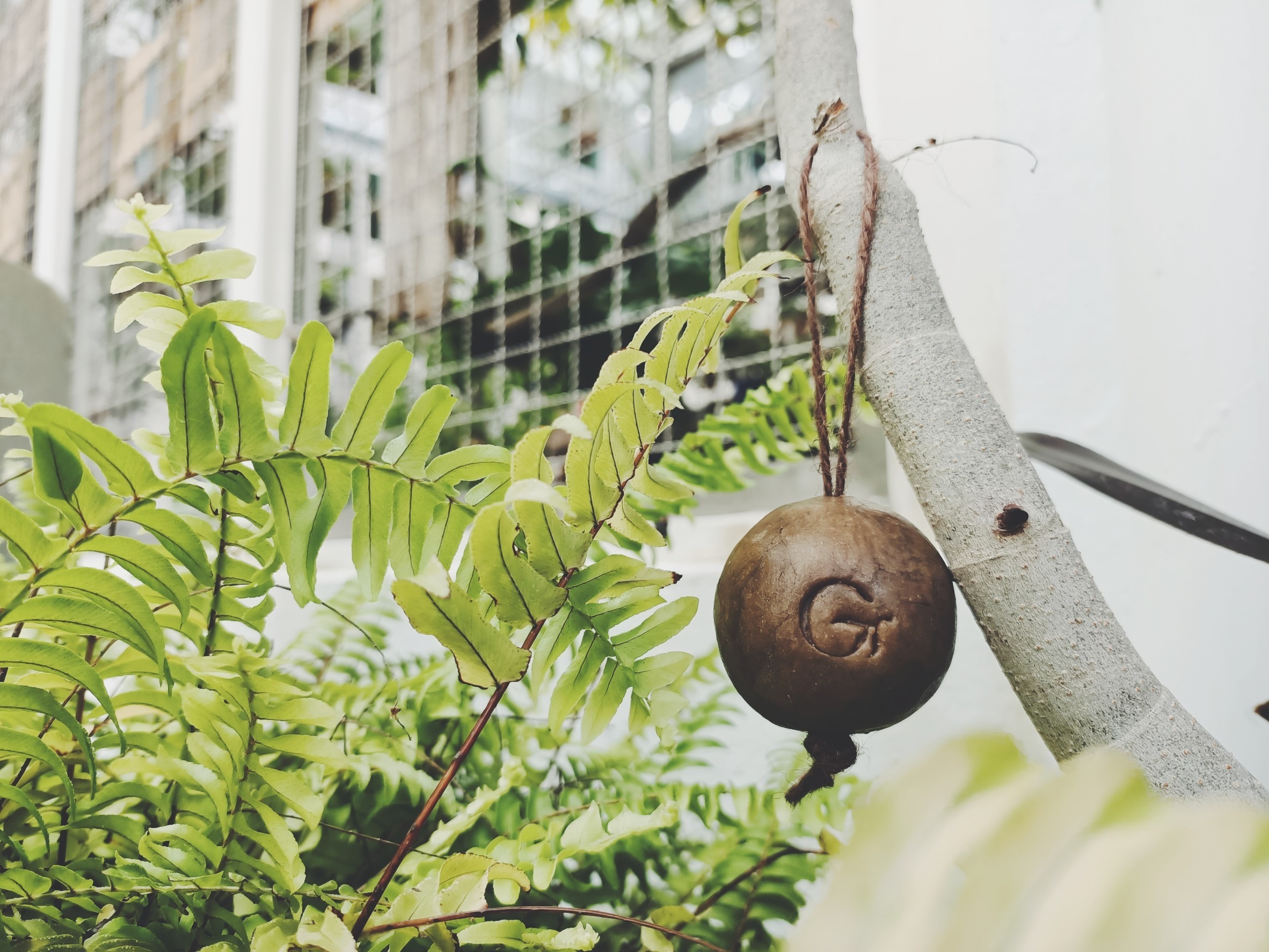 林百貨Ｘ綠果艾草皂手作課