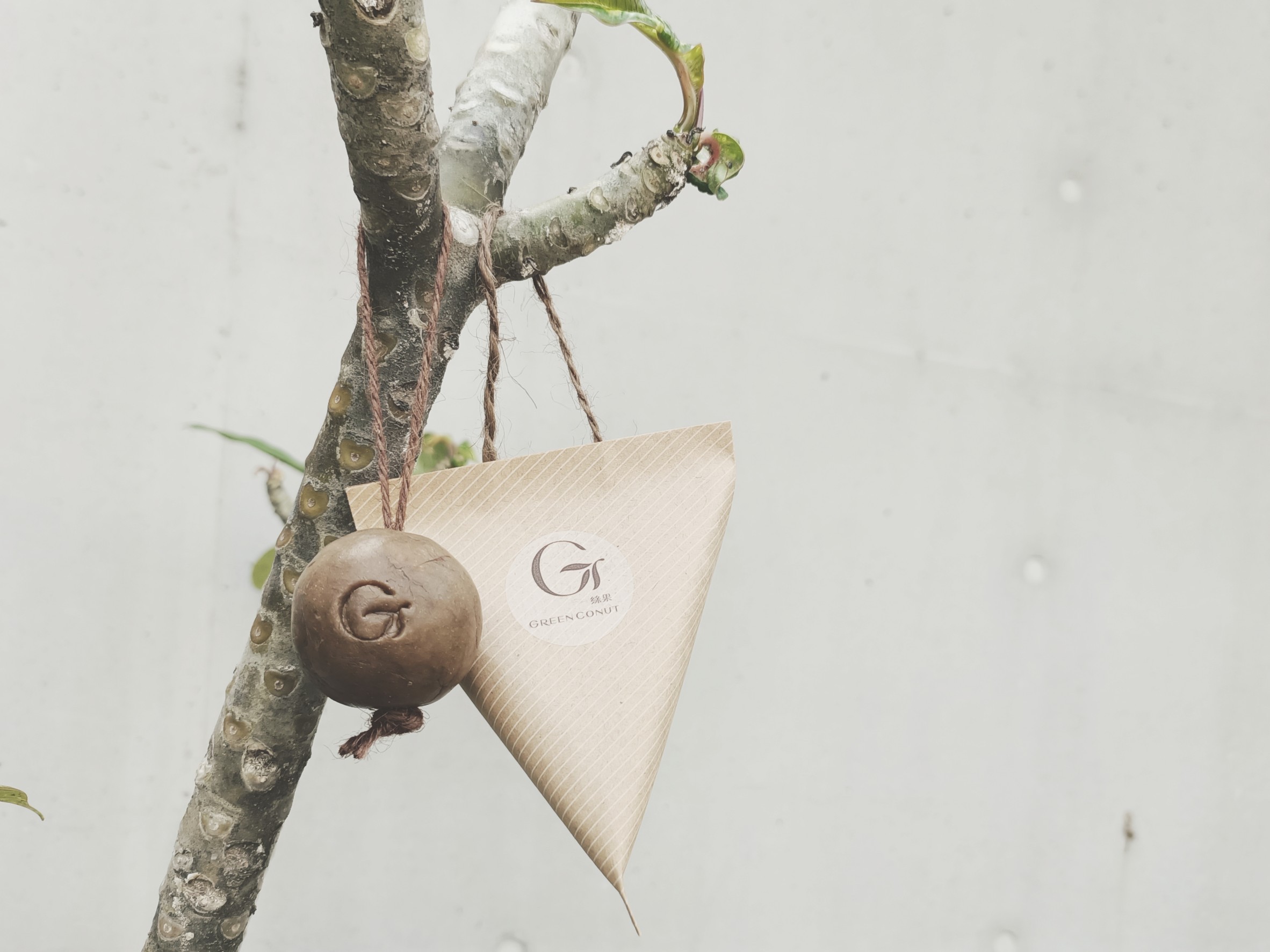 林百貨Ｘ綠果艾草皂手作課