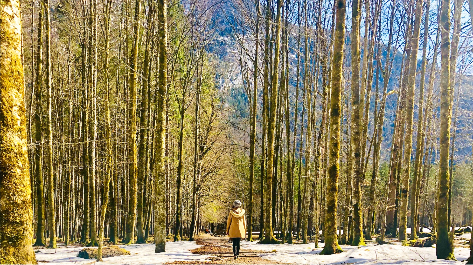 綠果2020充電之旅