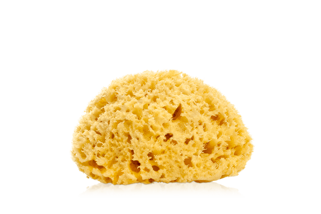 綠果希臘蜂巢天然希臘海綿