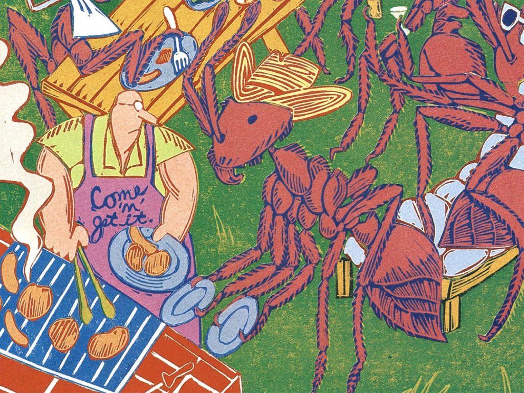 冷知識百科-綠果先生-螞蟻是掛大餅在過冬？