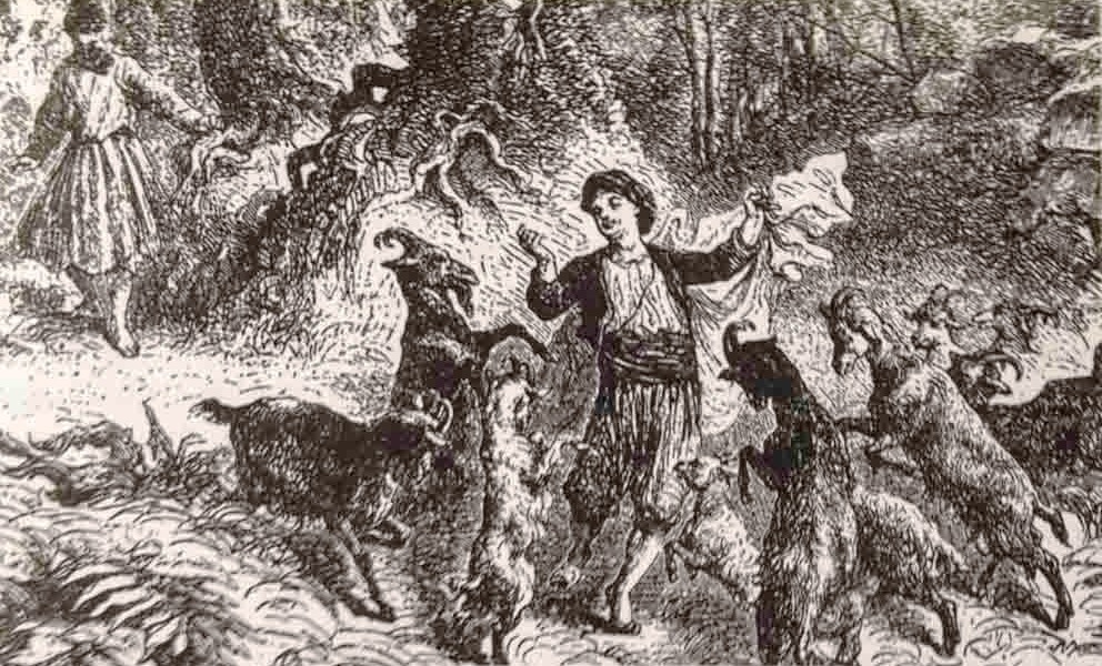 冷知識百科-綠果先生-是羊群發現咖啡豆的功效？