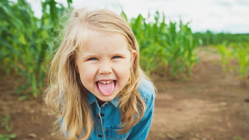 冷知識大全-綠果先生-口水有神奇分子，可讓傷口更快癒合？