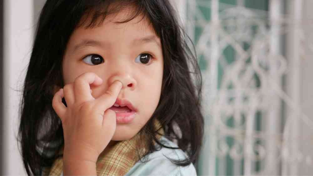 冷知識百科-綠果先生-鼻屎的神秘數字？