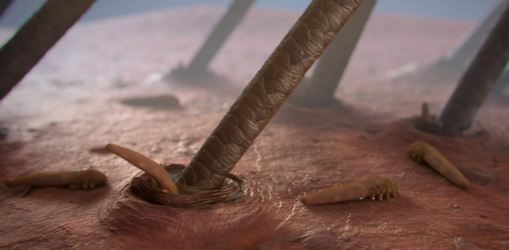 冷知識大全-綠果先生-你的睫毛住滿寄生蟲？