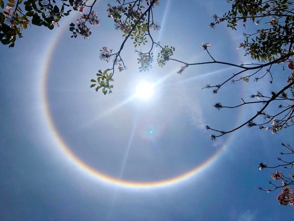 冷知識大全-綠果先生-Halo