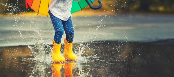 冷知識大全-綠果先生-下雨有細菌的味道