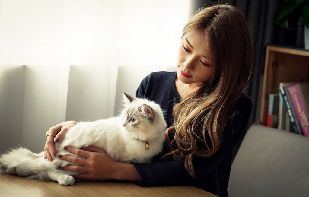 冷知識大全-綠果先生-貓咪比較親近女性