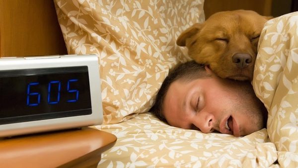 冷知識大全-綠果先生-鬼壓床是為了拯救枕邊人