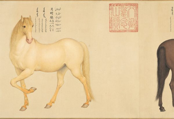 蒙古人最愛拍馬屁? | 綠果 GREENCONUT | horse 0329 冷知識-綠果先生-蒙古人最愛拍馬屁?