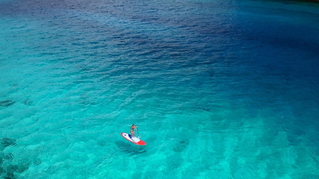 冷知識-綠果先生-為什麼海水大多是藍包、綠色？