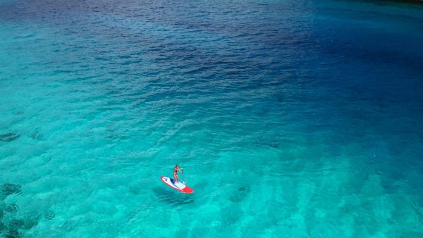 冷知識-綠果先生-為什麼海水大多是藍包、綠色？
