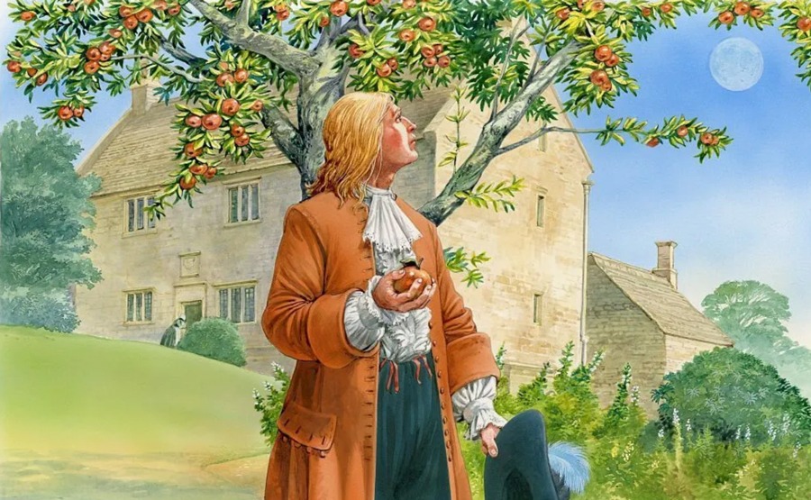 冷知識-綠果先生-牛頓其實沒有被蘋果砸到過？