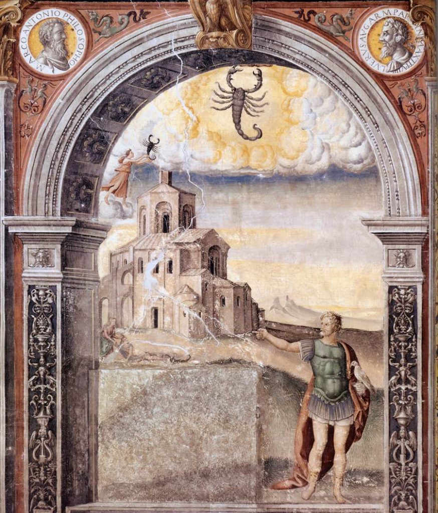 冷知識-綠果先生-毒蠍子在遇到危險的時候會斷尾求生？