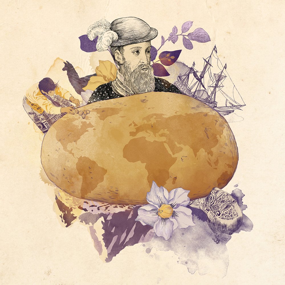 改變世界的食物,全球五大農作物之一原來是它? | 綠果 GREENCONUT | potatoes 0529 冷知識-綠果先生-改變世界的食物,全球五大農作物之一原來是它?