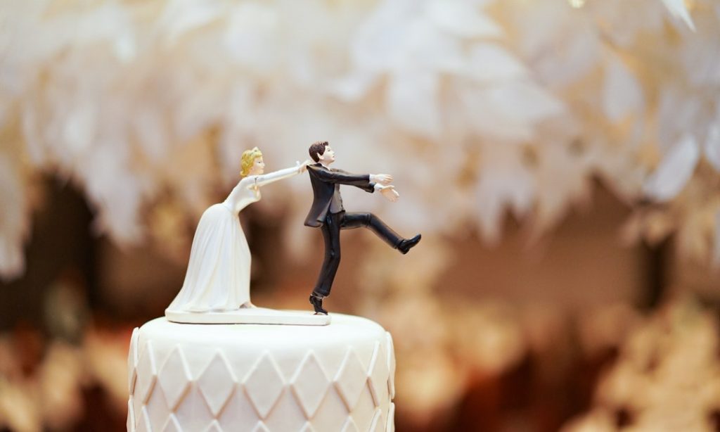 為什麼有錢的女婿叫金龜婿? | 綠果 GREENCONUT | turtle in law 0515 冷知識-綠果先生-為什麼有錢的女婿叫金龜婿?