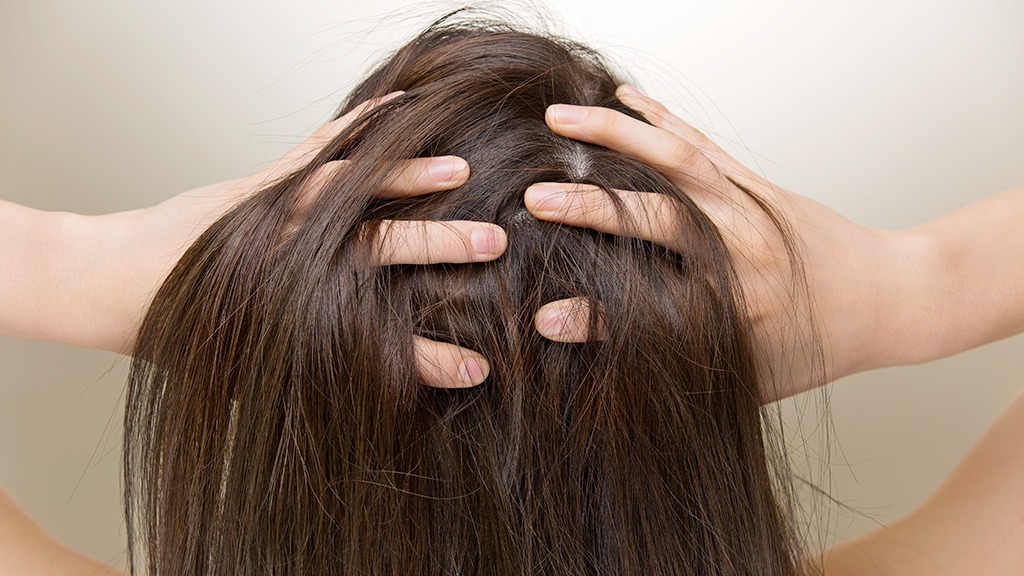 保養知識-綠果學堂-頭皮不健康也是導致掉髮的原因之一