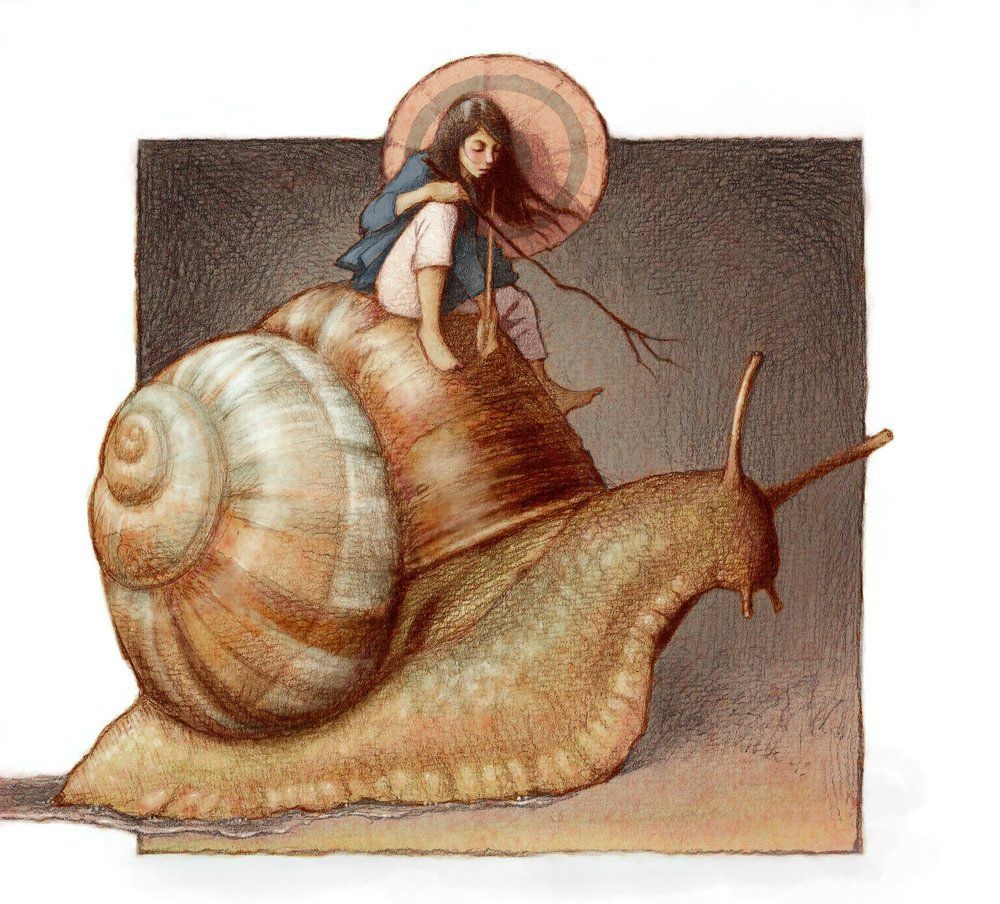 冷知識大全-綠果先生-蝸牛的牙齒比防彈背心更強壯？