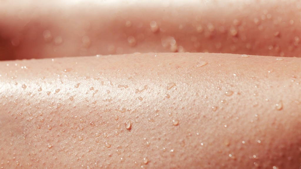 保養知識-綠果學堂-排汗調節體溫