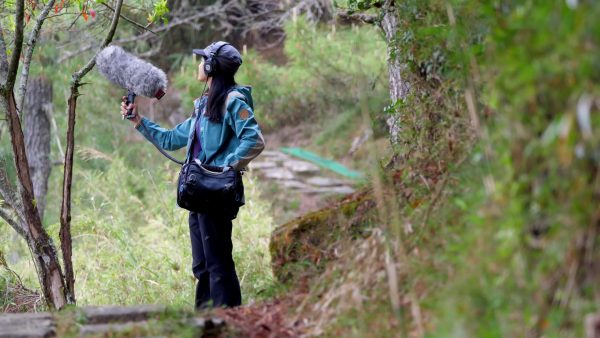 冷知識大全-綠果先生-植物在受到危害或受傷時會發出尖叫聲？