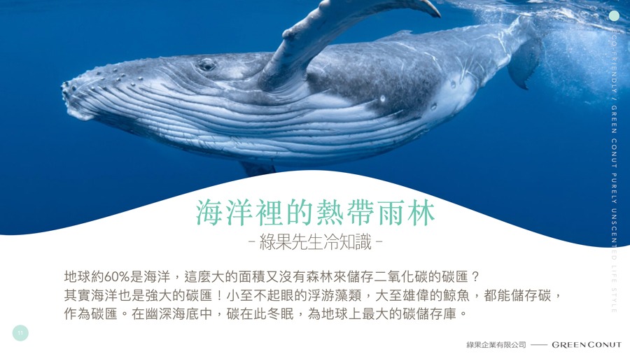 經濟日報-綠果先生SDGS生態永續Ｃ