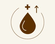 綠果-綠果手工皂植物油含量高達85%