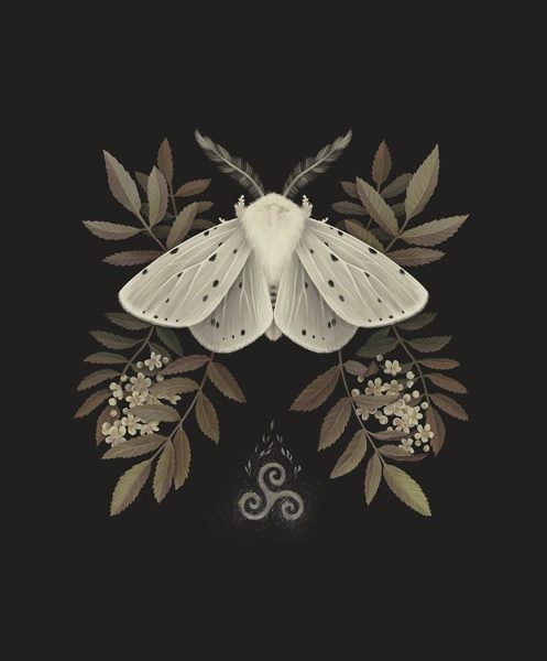 終生最衰昆蟲代表,沒有嘴巴的蓑蛾只能等死? | 綠果 GREENCONUT | Mino moth life 1016 冷知識-綠果先生-終生最衰昆蟲代表,沒有嘴巴的蓑蛾只能等死?