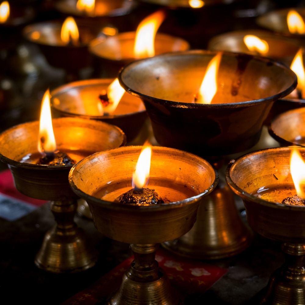 以前古墓長明油燈,都是抹香鯨的腦油? | 綠果 GREENCONUT | 冷知識sperm whale spermaceti 0309 冷知識-綠果先生-以前古墓長明油燈,都是抹香鯨的腦油?