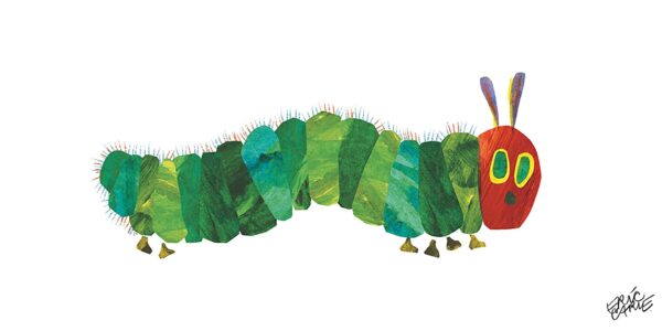 毛毛蟲是筋肉王,多達4000塊肌肉? | 綠果 GREENCONUT | 376 caterpillar metamorphosis 1 冷知識-綠果先生-毛毛蟲是筋肉王,多達4000塊肌肉?