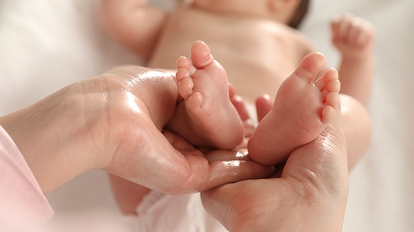 綠果黃金乳油木果保養油 golden-sheabutter-oil